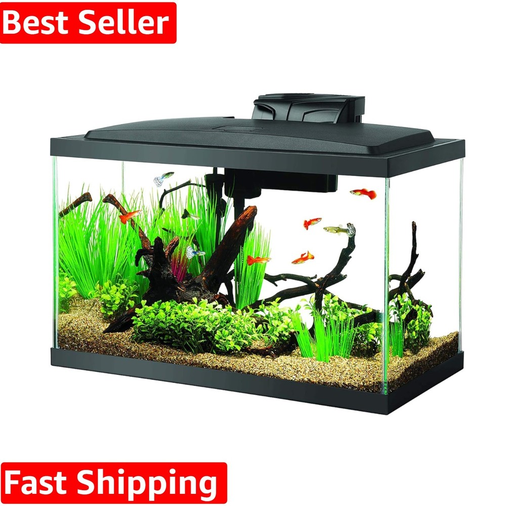 Complete 10-Gallon Aquarium Starter Kit with LED Lighting