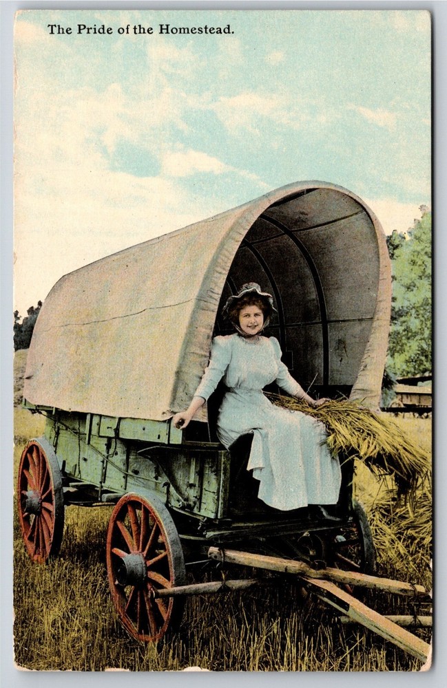 Farming~Woman In Cart With Hay Pride of the Homeland~Vintage Postcard