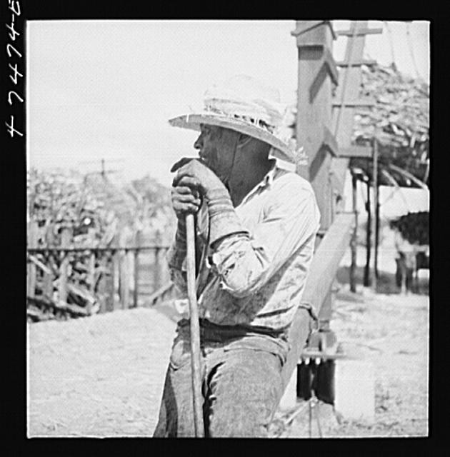 Guanica,Puerto Rico,FSA,Ponce Municipality,Farm Security Administration,1942,1