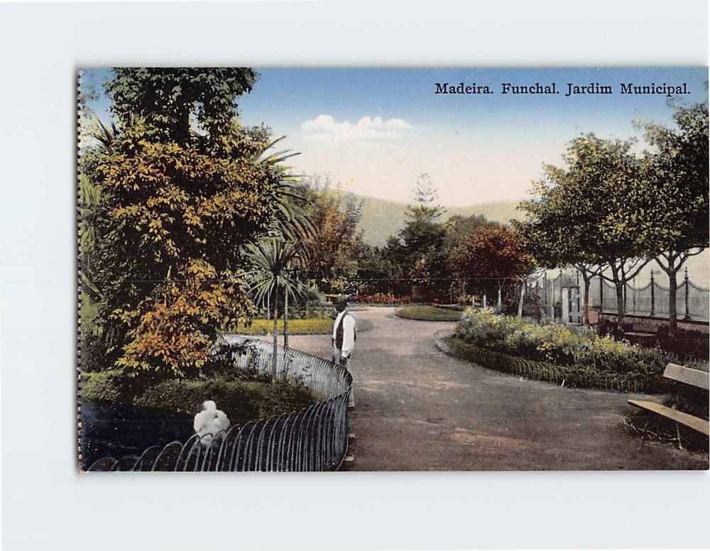Postcard Jardin Municipal Madeira Funchal Portugal