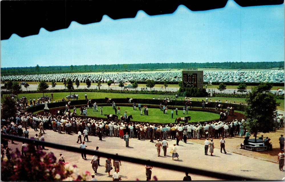 Dr Jim Stamps Postcard Atlantic City Race Course Paddock Walking Ring Race Track