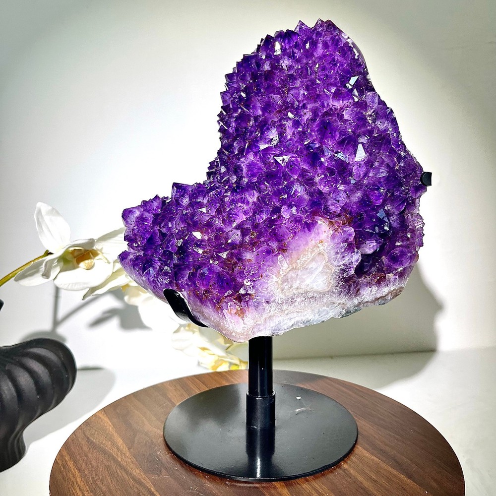 22.09LB Top Brazilian amethyst spiritual restoration for large teeth crystal blo