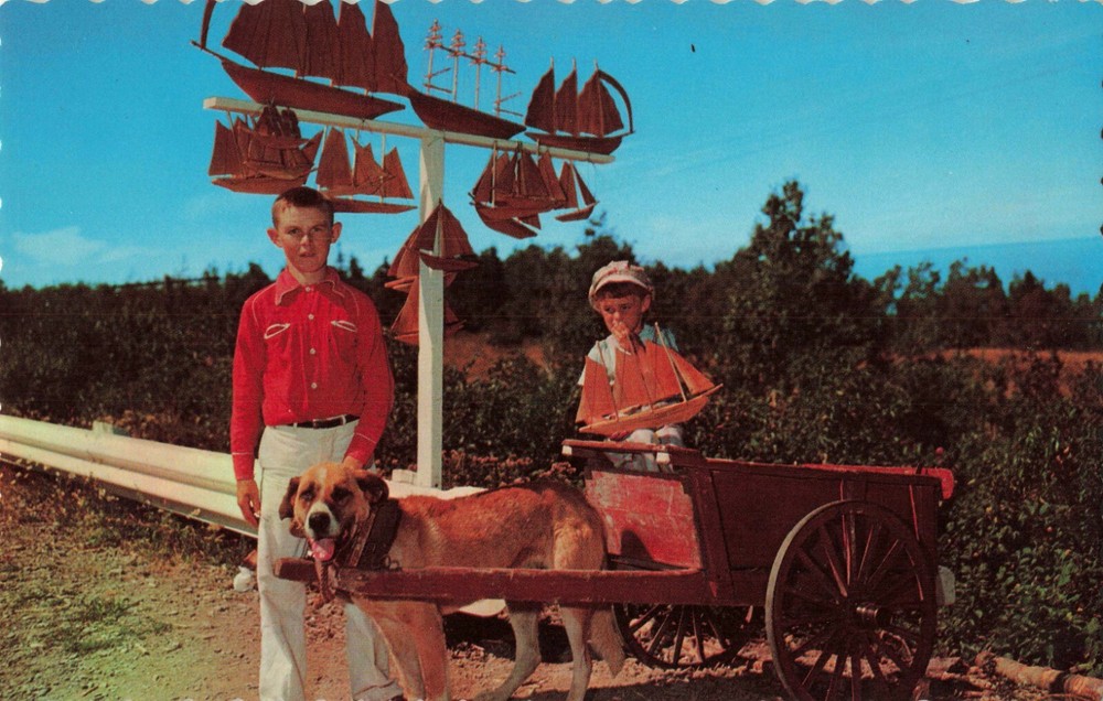 Children with Dog-Cart Selling Souvenir Boats Gaspe Nord Quebec Canada Postcard