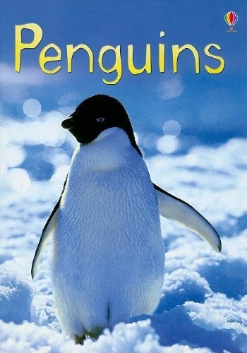Penguins (Usborne Beginners) by Bone, Emily, Good Book