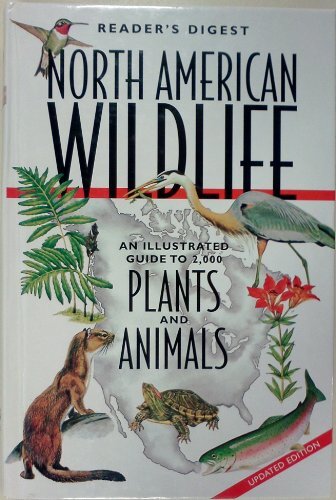 Discover Revised North American Wildlife by Brenda Jackson