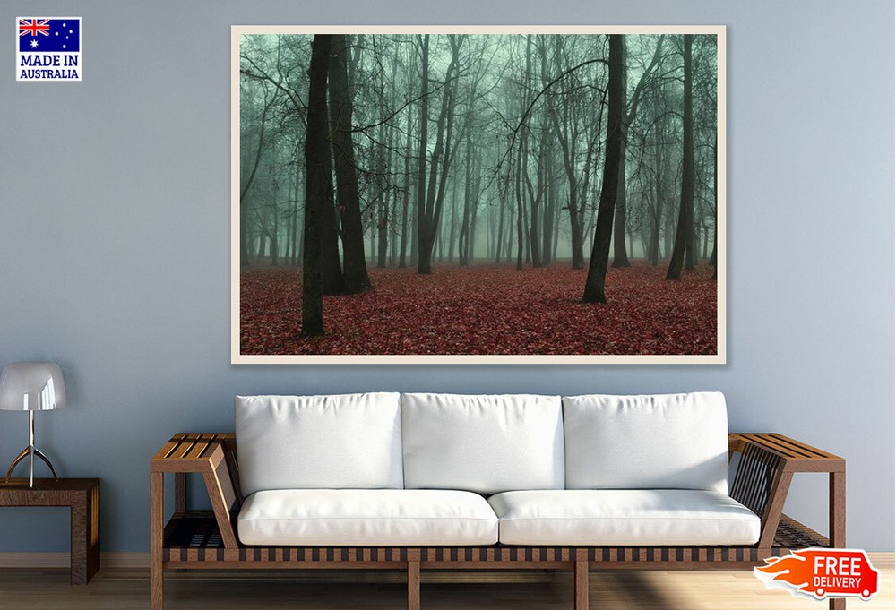 (Laminated) Misty Dark Forest Photograph 91x61cm