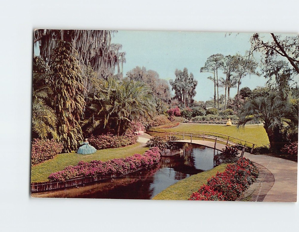 Postcard Scenic View in Cypress Gardens Florida USA