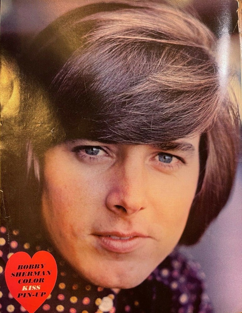 1971 Vintage Magazine Illustration Bobby Sherman