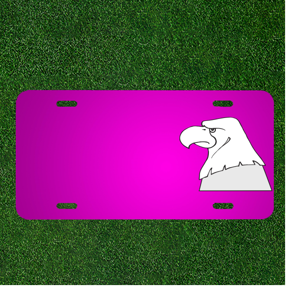 Create Your Custom Personalized Car License Plate with Bald Eagle Design & Names