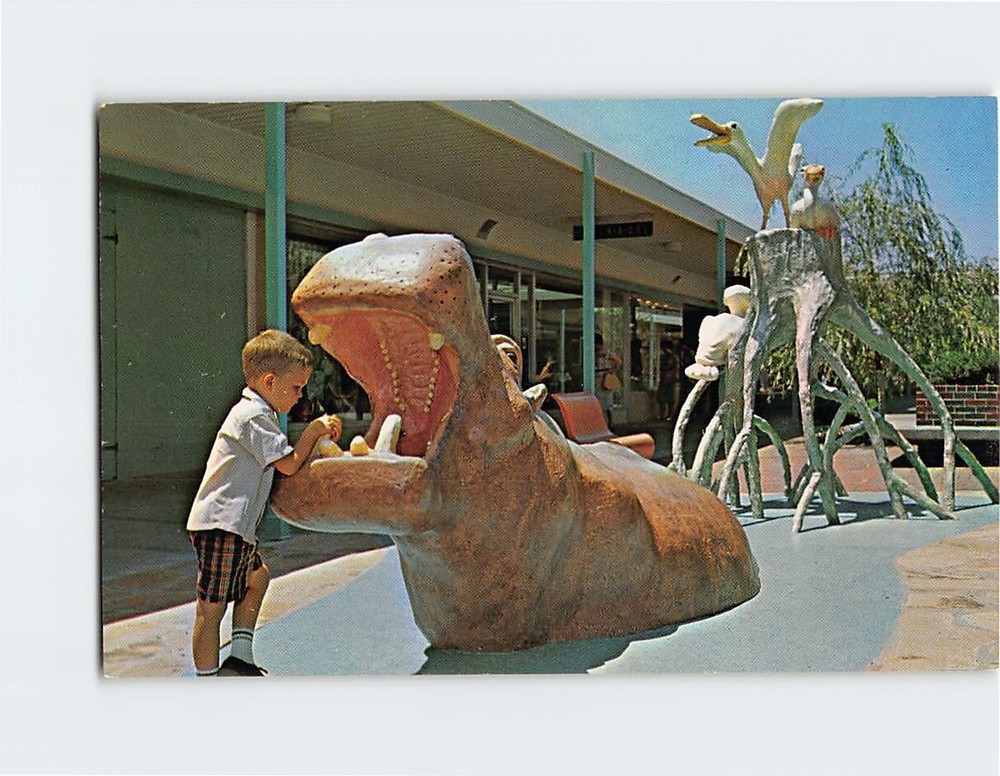 Postcard Hippopotamus Roseate Spoonbill The Landing Kansas City Missouri USA