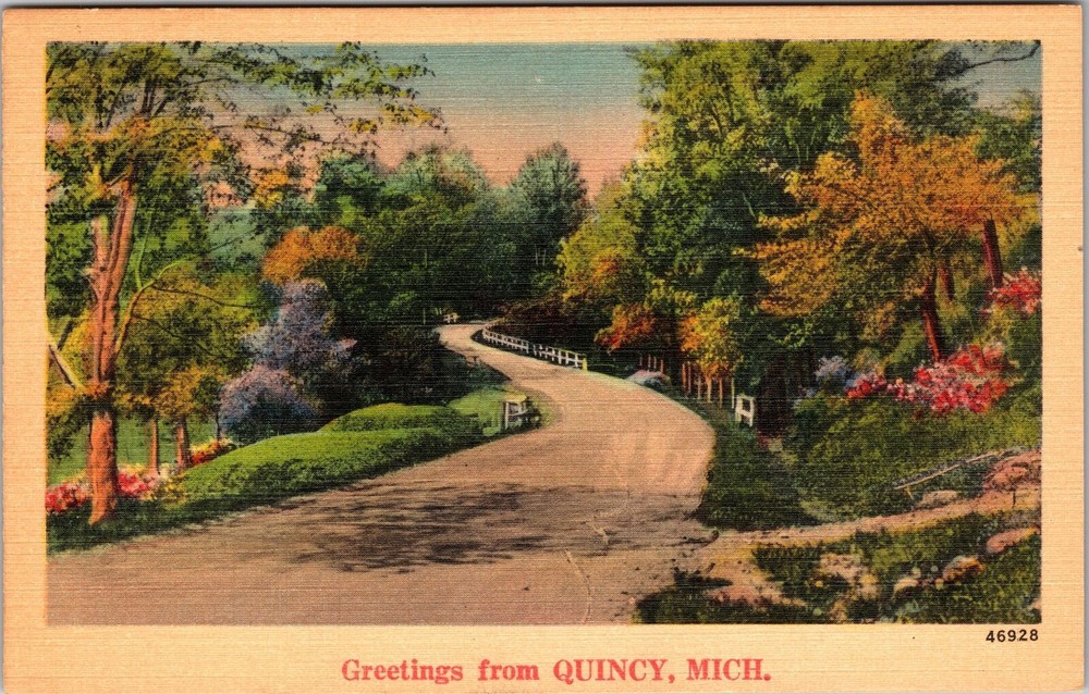 Quincy MI-Michigan, Scenic Greetings, Country Road, Vintage Postcard