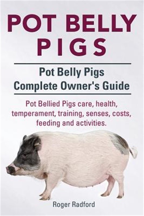Pot Belly Pigs. Pot Belly Pigs Complete Owners Guide. Pot Bellied Pigs Care, Hea