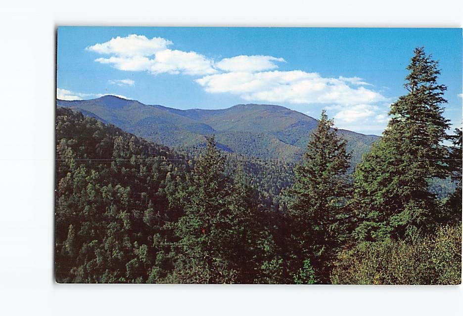 Postcard Mt. Mitchell as seen from the Blue Ridge Parkway North Carolina USA