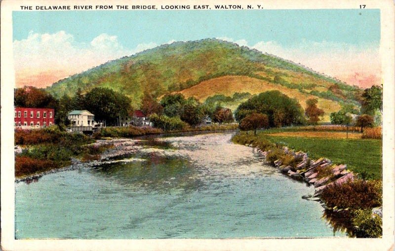 Walton New York NY : BRIDGE SCENE m/14 AV2209
