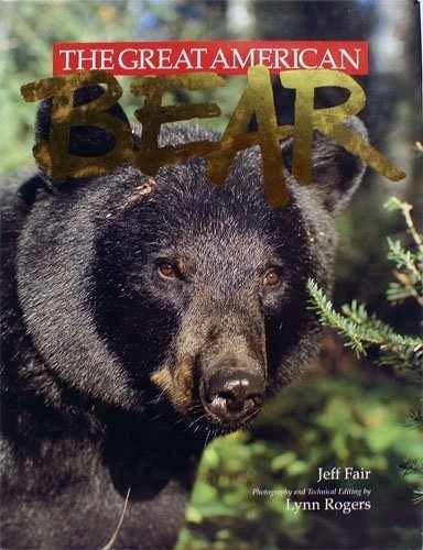 The great American bear - Hardcover, by Fair Jeff - Acceptable j