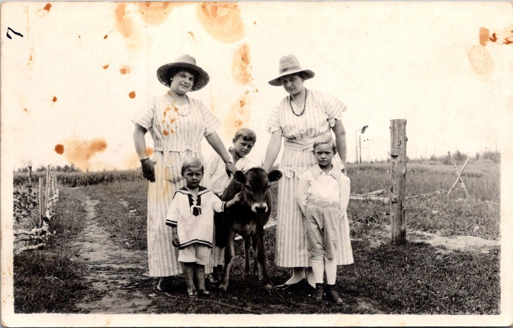 Farm Women in Dresses with Children and Cow Calf c.1904-1918 RPPC Postcard 23683