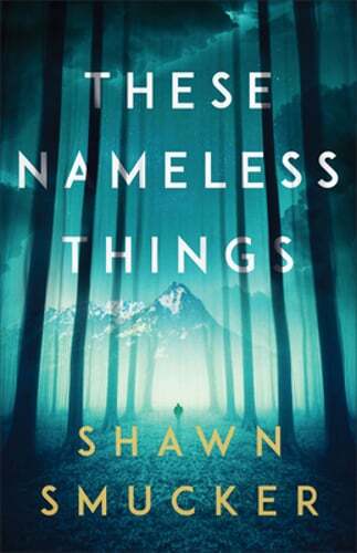 These Nameless Things by Shawn Smucker: Used