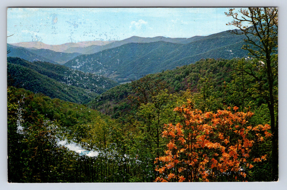 Vintage Postcard Maggie Valley North Carolina