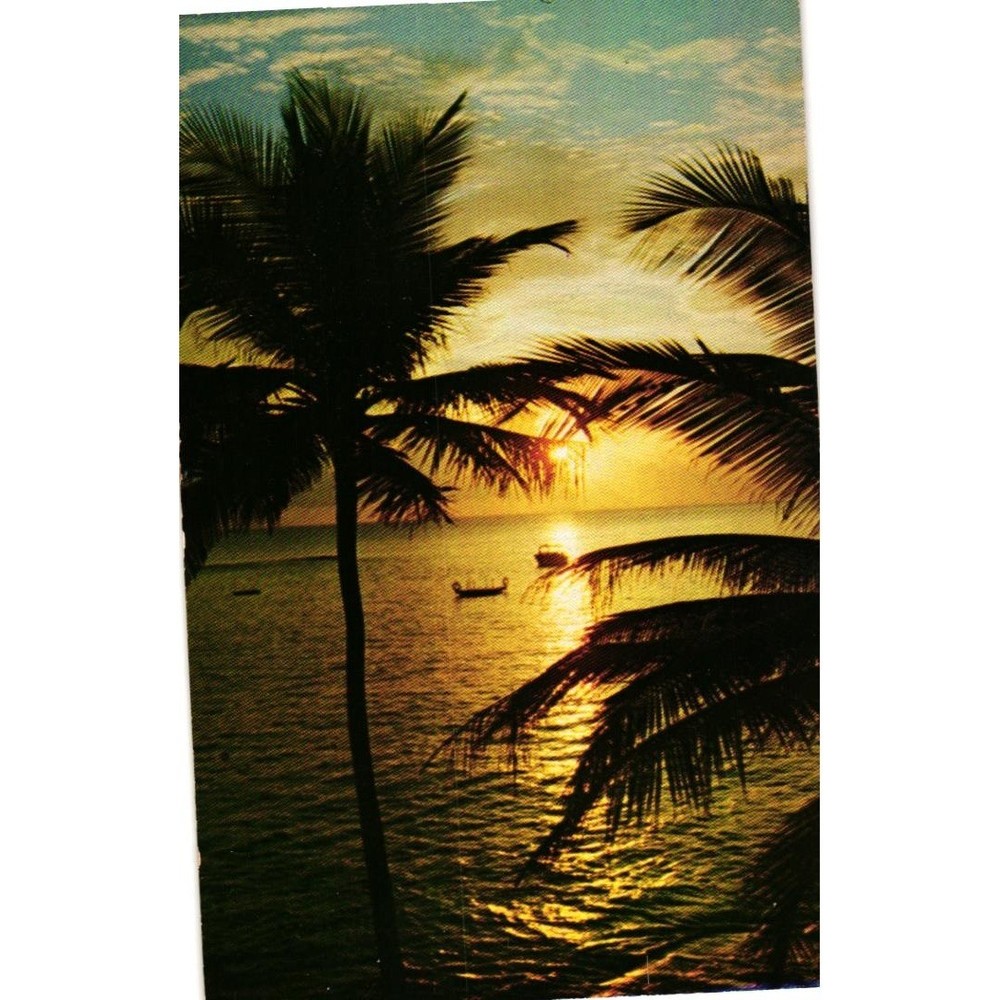 Vintage Florida Sunset Postcard Palm Trees Ocean Boats Golden Hour