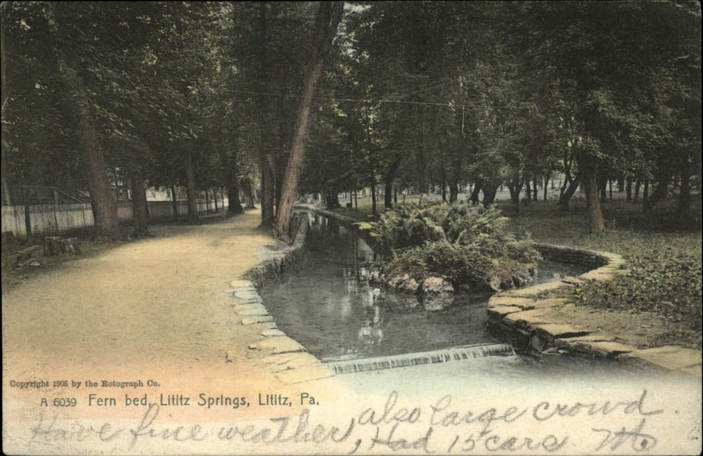 Fern bed Lititz Springs Lititz Pennsylvania pond ~ Rotograph UDB 1906 postcard