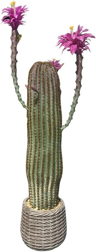 Artificial Cactus Potted Plant Faux Desert Cacti Fake Big Cactus Plant