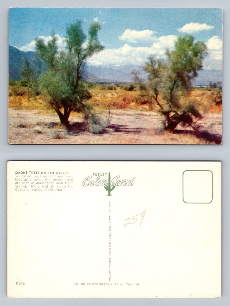 Palm Springs, CA-California, Smoke Trees Along Coachella Valley Vintage Postcard