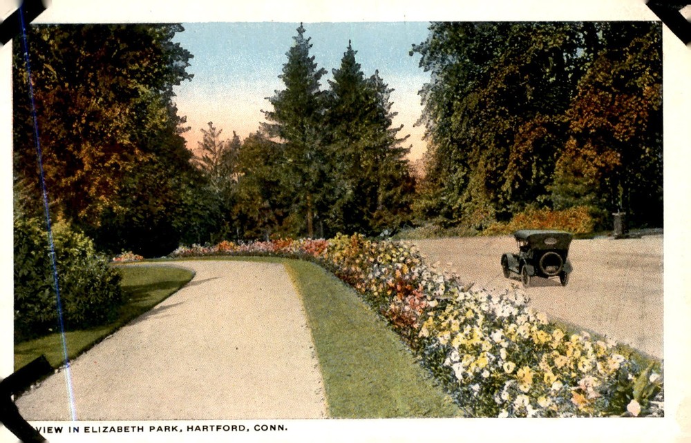 Elizabeth Park, Hartford, Connecticut View Postcard