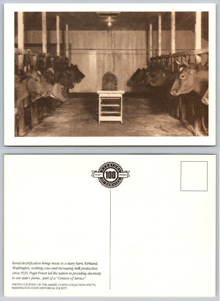 1930s Kirkland WA Dairy Barn Cows Radio Electrification Puget Power Postcard