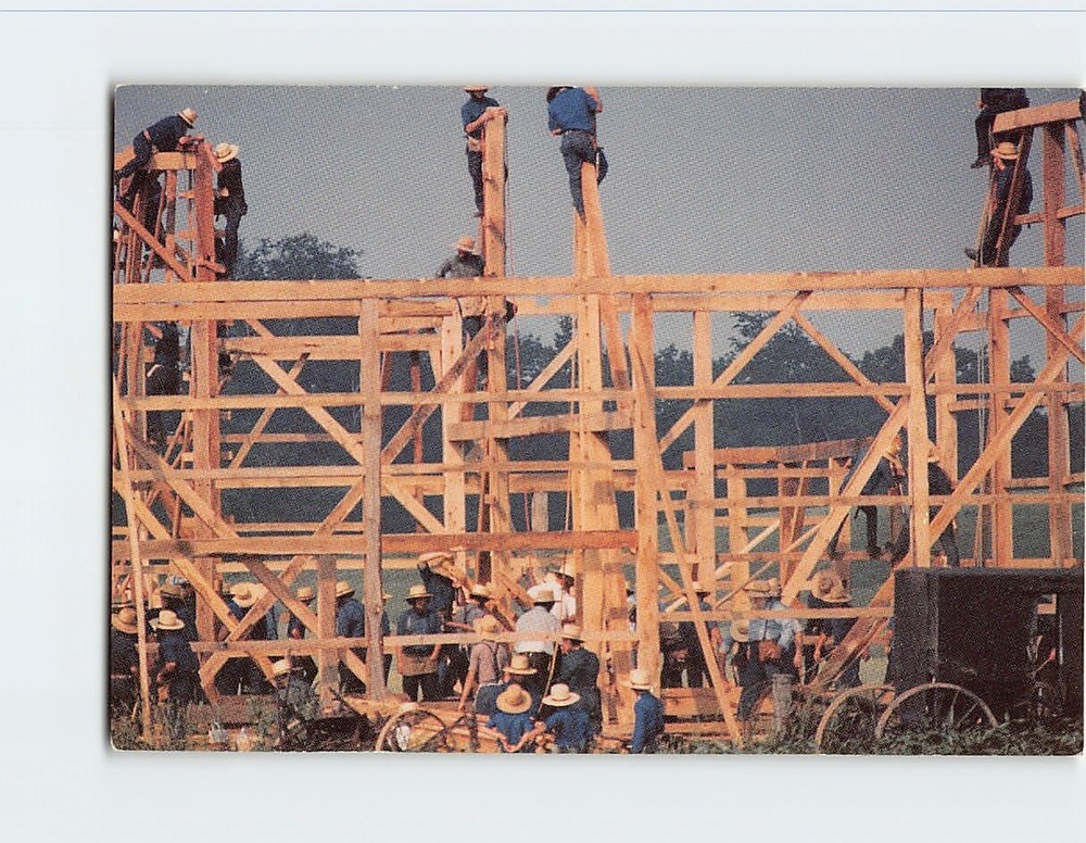 Postcard Barn Raising Amish People USA