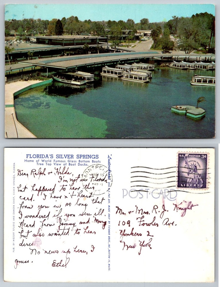 Vintage Florida Silver Springs Glass Bottom Boats Docks Lusterchrome Postcard