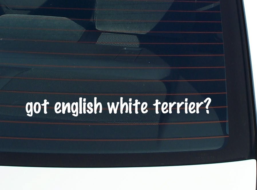 English White Terrier Car Decal Bumper Sticker Vinyl Funny Window Joke