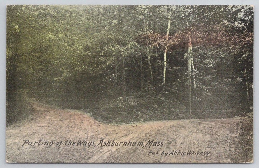 Ashburnham MA Parting of the Ways 1910 Postcard Abbie Whitney Forest Road