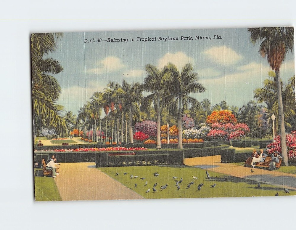 Postcard Relaxing in Tropical Bayfront Park Miami Florida USA