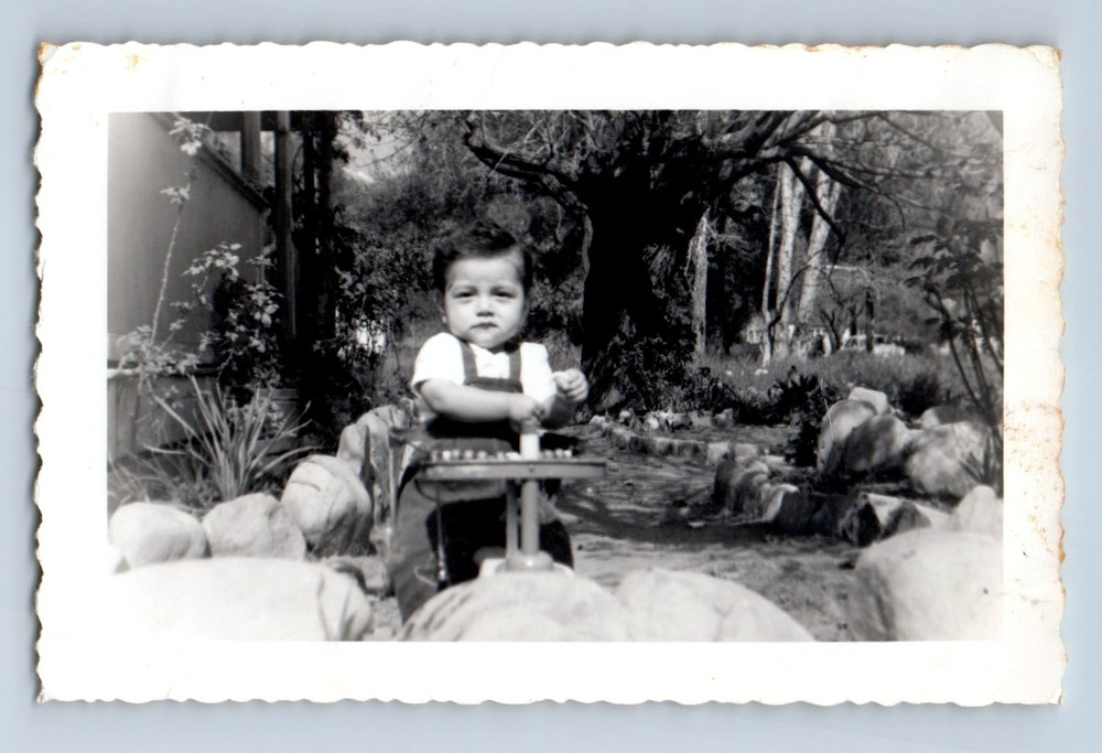 Old Vintage Photo SOLO BOY IN YARD SITTING ON STROLLER FOUND PHOTOGRAPH PIC
