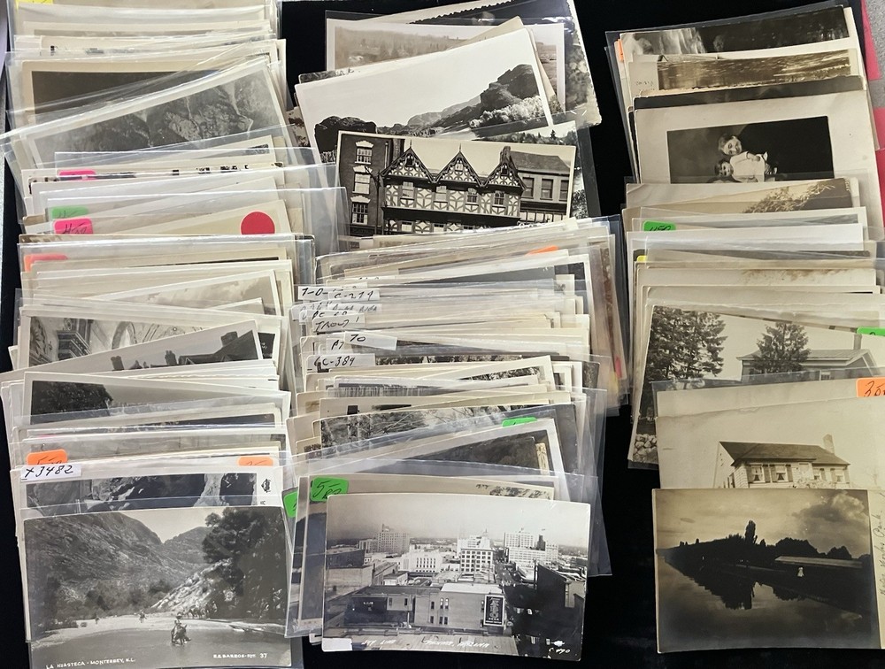 200 RPPC Real Photo Postcard  BULK LOT  People Locations Buildings Scenic Animal