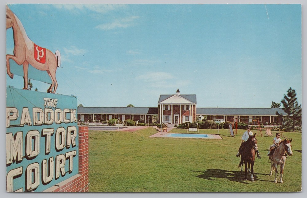 Roadside~Horses Nr Small Pool @ Paddock Motor Court Motel~Manning SC~PM 1970 PC