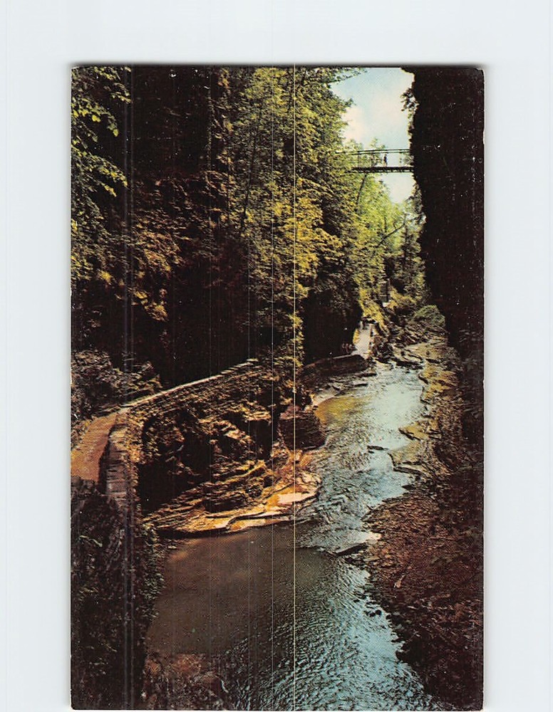 Postcard Still Water Gorge Watkins Glen State Park Watkins Glen New York USA