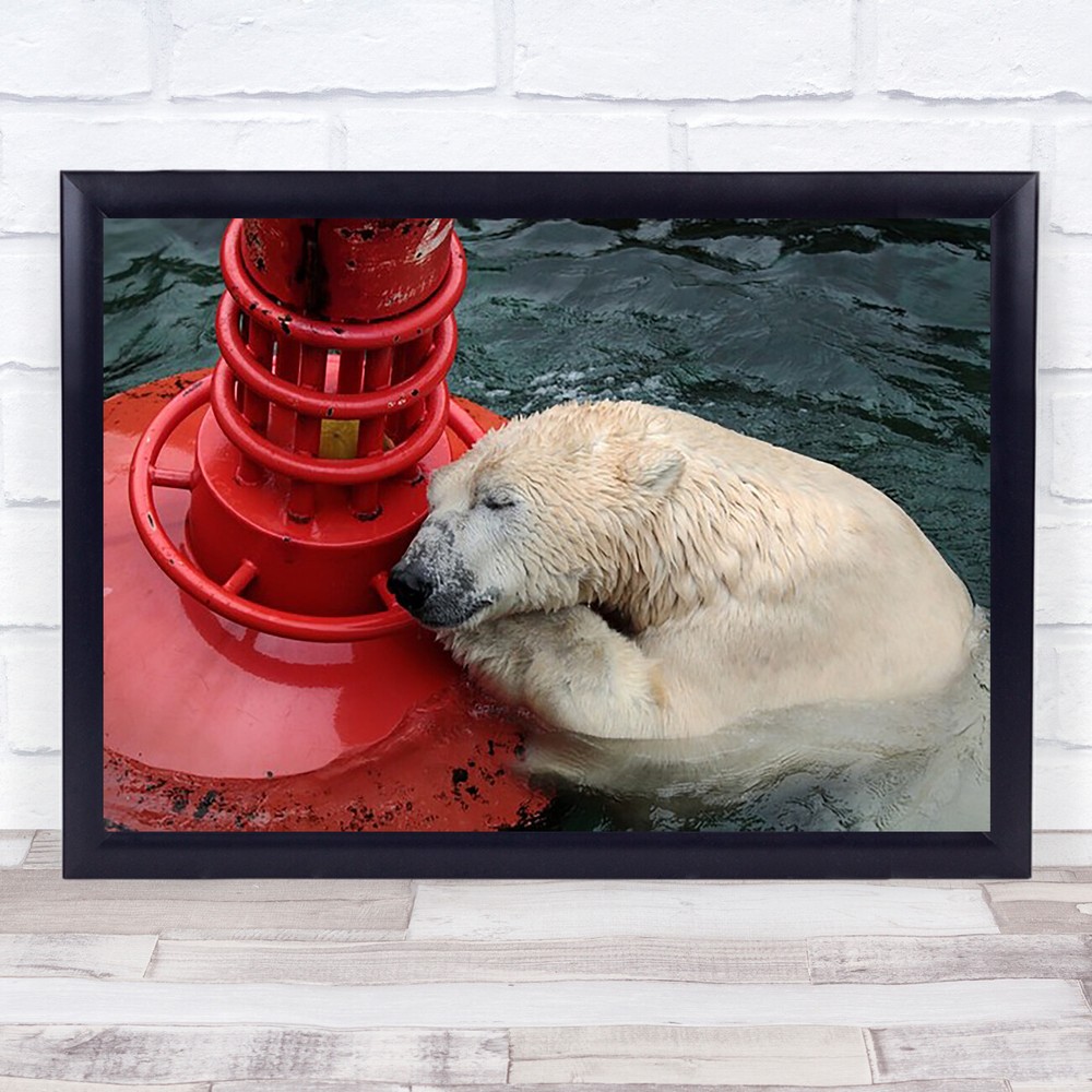 My Buoy A Melon Polar Bear Animal Water Sleeping Resting Rest Tired Art Print