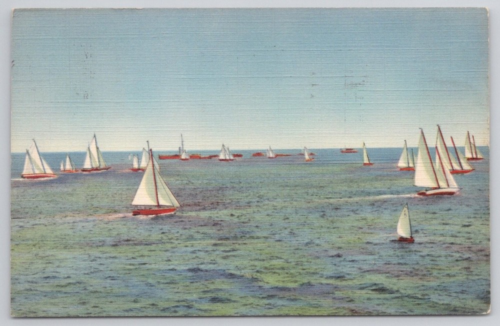 1937 St. Petersburg Florida Regatta Sailboats Linen Postcard Curt Teich