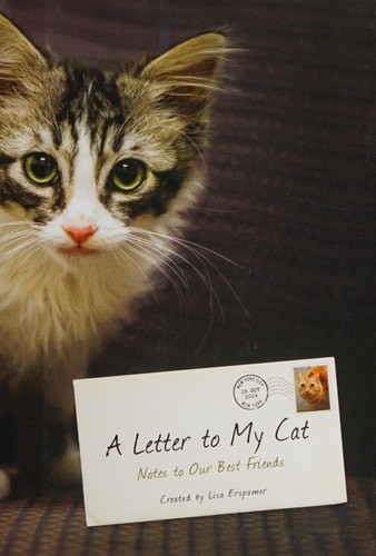 A Letter to My Cat: Notes to Our Best Friends by Erspamer, Lisa, Acceptable Book