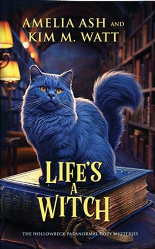 Life's A Witch (Paperback or Softback)