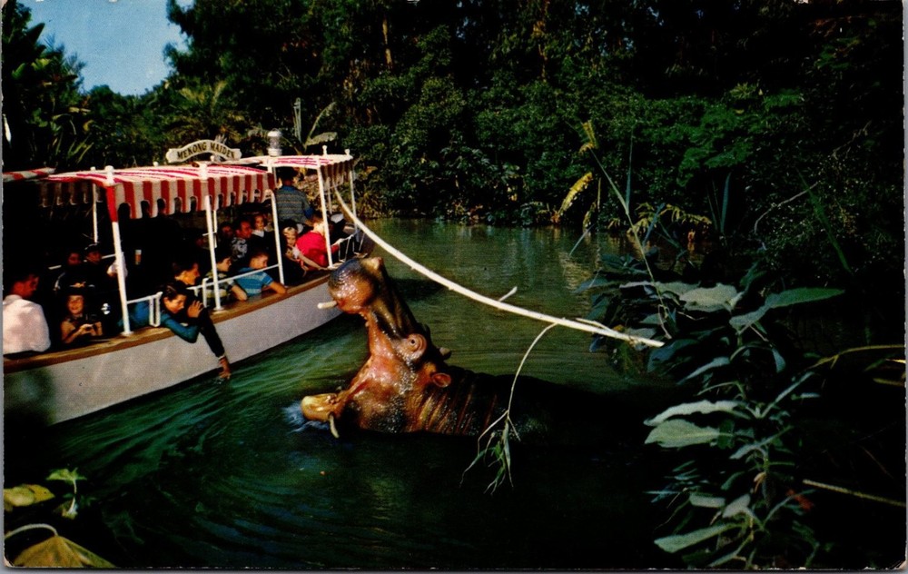 1961 Disneyland Adventureland Jungle Cruise Hippo Boat Postcard