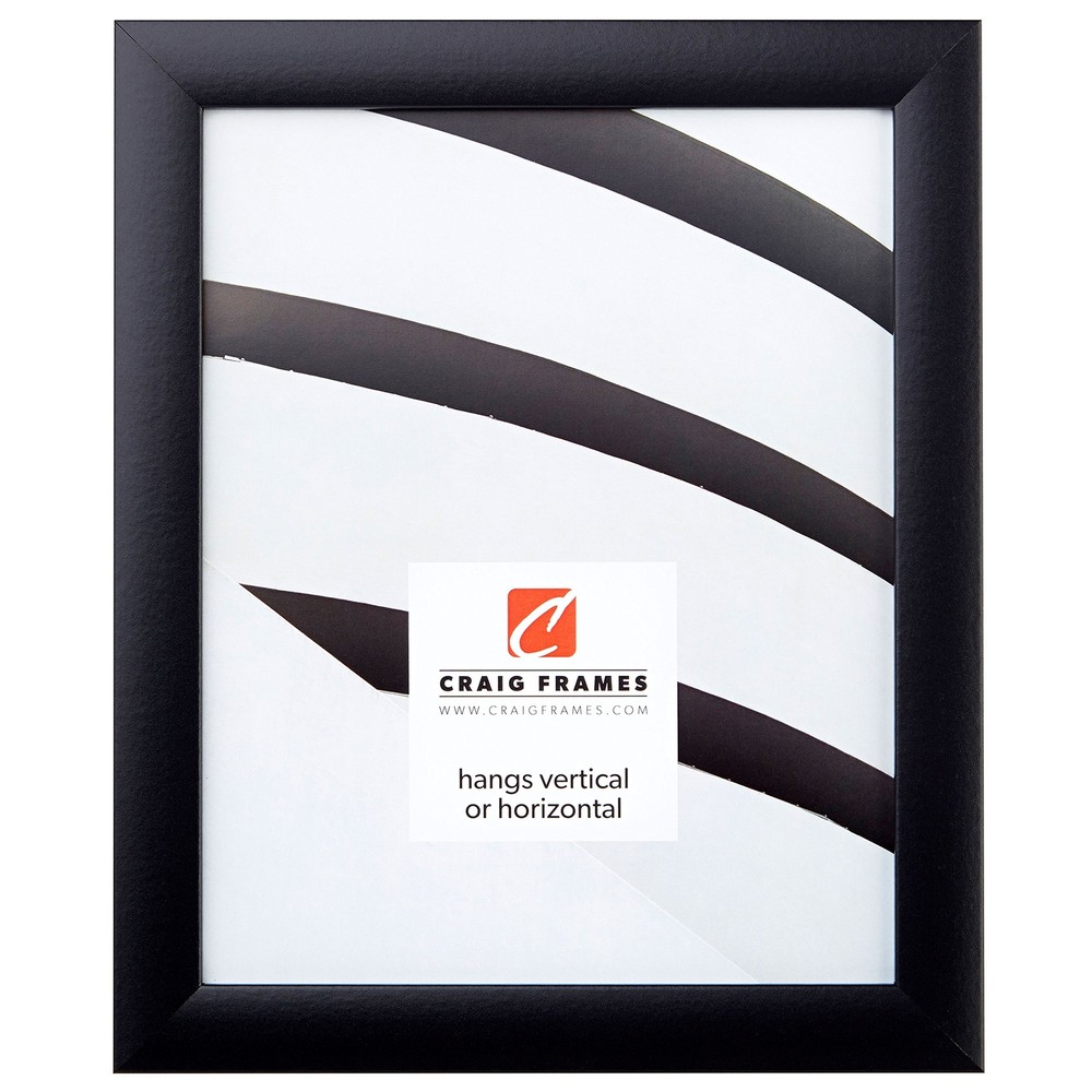 Craig Frames 24x36 Smooth Wrap 1-Inch Wide Black Picture Frame 1WB3BK