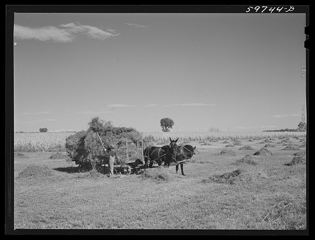 Scottsbluff Nebraska 1941 Haying Farm Security Administration Farmsteads