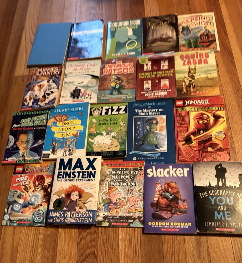 Lot Of 20 Mixed Preowned Children Chapter Books