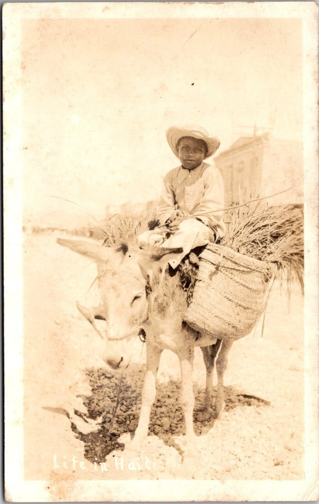 Antique RPPC Haiti Donkey Transport Scene – Real Photo Rural Life Postcard