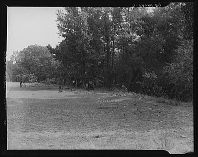 Photo:Prince George's County Maryland 1930s Greenbelt Project farmland