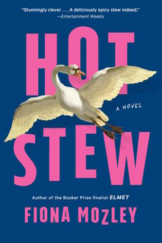 Hot Stew by Fiona Mozley: Used