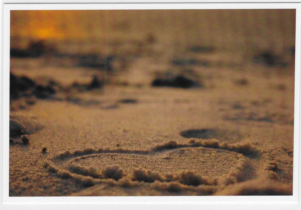 NEW Nautical Seaside Beach Ocean Coastal Themed Postcard
