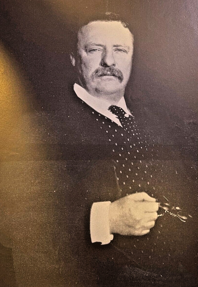 1908 Vintage Magazine Illustration President Theodore Roosevelt